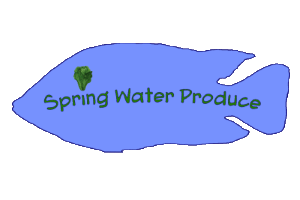 Spring Water Produce